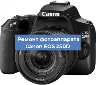 Замена объектива на фотоаппарате Canon EOS 250D в Волгограде